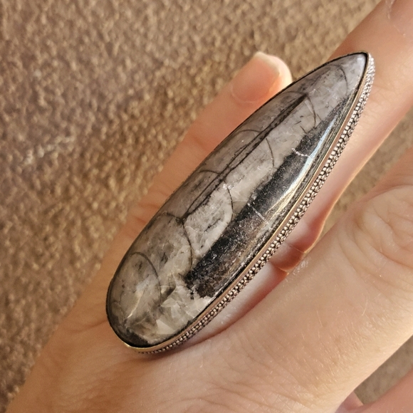 New Huge Orthoceras Fossil 925 Silver Statement Ring. - Picture 1 of 9